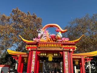 2026庐州新春灯会正布展 “花灯海洋”中现“巨马奔腾”