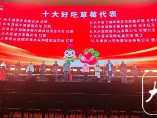 长丰草莓文化旅游节甜蜜启幕 慕容晓晓等歌手现场助唱