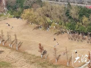 -9℃低温+中雪、大雪到暴雪 安徽将迎“跨年”冷空气