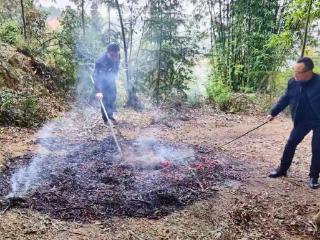 合江县白鹿镇：统战人士积极参与秸秆禁烧工作