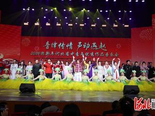 “音律传情·声动燕赵”2026迎新年河北省中青年优秀作品音乐会暨河北省新大众文艺全民创享赋能行动研讨会成功举办