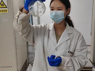 以连续流为翼 以科研为笔 绘就绿色制药青春华章