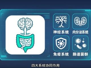 开启你的“”肠归作息，养乐多带你探寻优质睡眠的活力密码