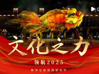 领航2025｜文化之力