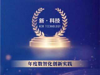 实力加冕！数禾科技摘得“年度数智化创新实践奖项”