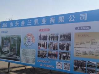 价值引领聚合力 实践赋能谱新篇 社会主义核心价值观落地生根的 “岱岳实践”