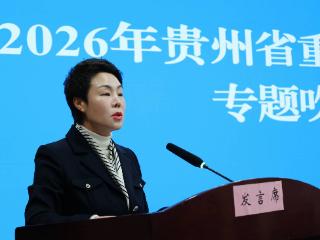 贵阳拿下国家级消费“三新”试点！九大消费场景+IP跨界联名等你来打卡