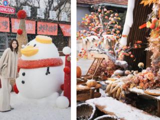 雪栖崂山，岁暖仙居——仙居崂山诗酒文化主题小院跨年雅集