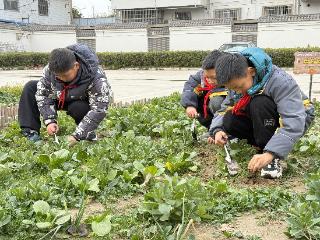 盐城射阳：诚善同心育新苗