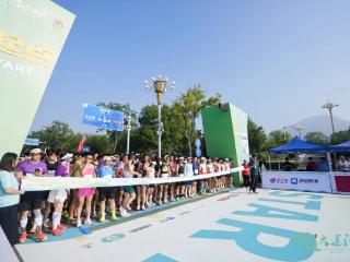 喜讯连连，东平一案例又获省级荣誉