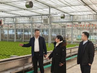 五篇大文章 临商新答卷②｜链上融通，田间送达——临商银行引金融活水浇灌普惠金融沃土