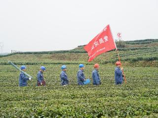 创历史新高！南方电网金沙供电局售电量突破20亿千瓦时
