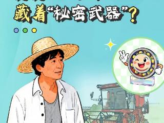 我们县，上链接⑩｜临西县：舅舅的收割机藏着“秘密武器”？