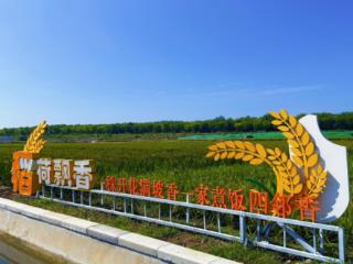 明水街道：党建引领激活高质量发展“红色引擎”