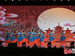 2026年河北省外籍人才联谊会在河北外国语学院举行