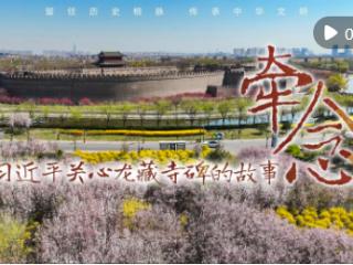 时政微纪录片｜牵念——习近平关心龙藏寺碑的故事