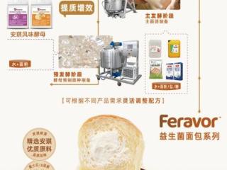 酵母预制面种：自然发酵，让面包学会自己说话