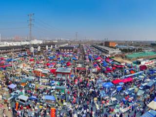 2025年滁州最后一个“狗市” 挤满了来赶大集的南京人