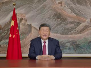 视频丨习近平：推进全体人民共同富裕 续写中国奇迹新篇章