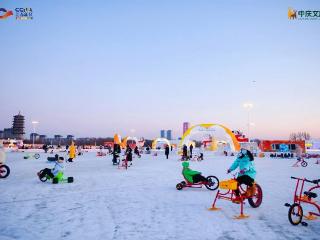 太萌啦！北湖企鹅村16只企鹅集体亮相