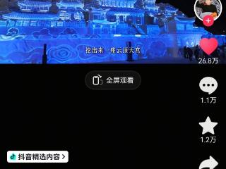 @南翔的“云顶天宫”视频登上抖音热榜 看哭了东北人