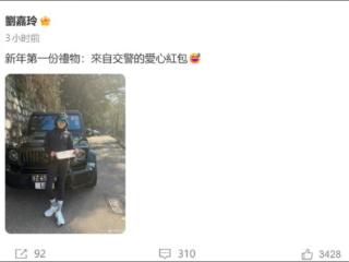 刘嘉玲晒罚单，网友吵翻