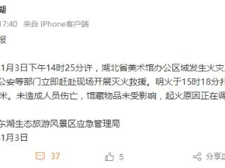 湖北省美术馆办公区域发生火灾，馆藏物品未受影响