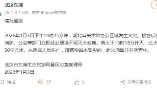 湖北省美术馆办公区域发生火灾，馆藏物品未受影响_060504_6