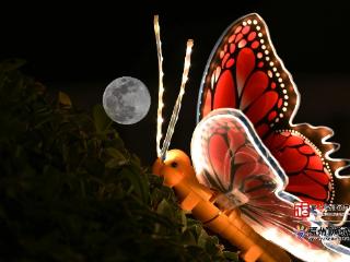 看！2026年首个“超级月亮”，“落”在了福州的屋檐上！