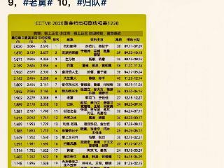 2025年央视八套首播电视剧收视率前十名