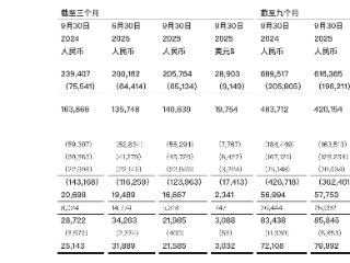洪恩2025年Q3营收2.06亿元：已推出首款毛绒AI陪伴产品