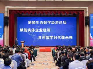 华麟数科推出联盟生态链“麒麟链”，加速数字经济深度融合与转型