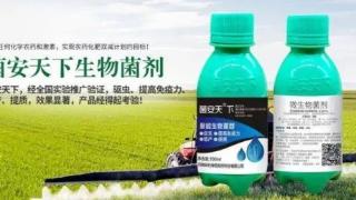 菌安天下:百吨位自然发酵技术全球领先品牌的科技解码