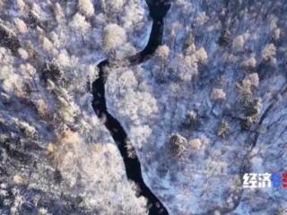 “冷资源”破圈生长 万亿赛道迸发消费新动能