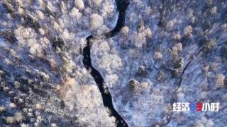 “冷资源”破圈生长 万亿赛道迸发消费新动能