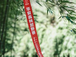 五大组别,千人同野!2026华安森林越野赛打造闽南越野盛宴