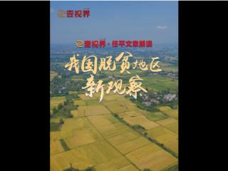 壹视界·任平文章解读｜我国脱贫地区新观察