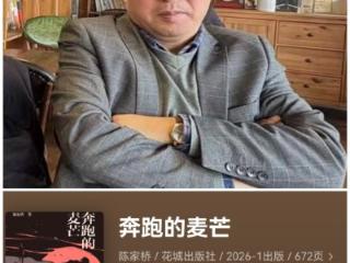 著名作家陈家桥新作《奔跑的麦芒》上架