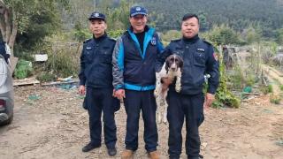 福州“汪汪队”立大功！寒夜驰援顺昌，42小时救回七旬老人！