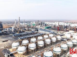 现场评｜“服务管家”助力项目建设加速跑