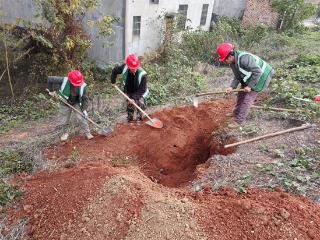 余干县水利局：靶向治理白蚁隐患 筑牢汛期安全屏障