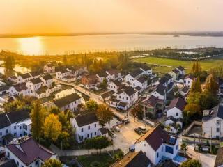 在鹅东，解锁江南水乡的文明密码