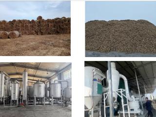 沃土固碳·循环赋能：呼图壁融鼎农林科技生态碳基肥项目引领农业绿色转型发展