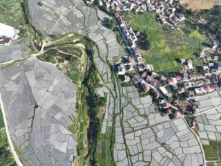 中央彩票公益金赋能仙游“善化里”：绘就革命老区振兴新图景