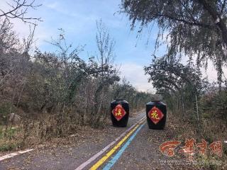 西安2025年30项为民实事巡礼丨民宿、超市、服务中心……周至县红旗村，以村集体项目带动村民增收