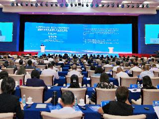 以AI为桥 创新为翼 广西绘就对外交流合作新图景