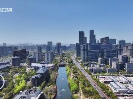 “浙”里寻“新”丨“新小龙”竞逐新赛道