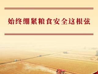 学习手记｜始终绷紧粮食安全这根弦