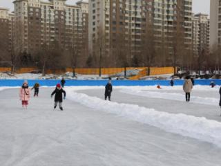 总面积1800㎡！长春又一冰场免费开放