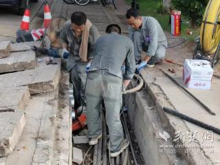 湖北中医药大学“后勤直通车”服务满载 驶入师生心坎